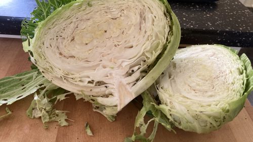 cabbage with some worm holes visible