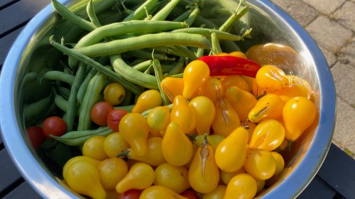 yellow pear tomatoes, green beans, peppers in a bowl