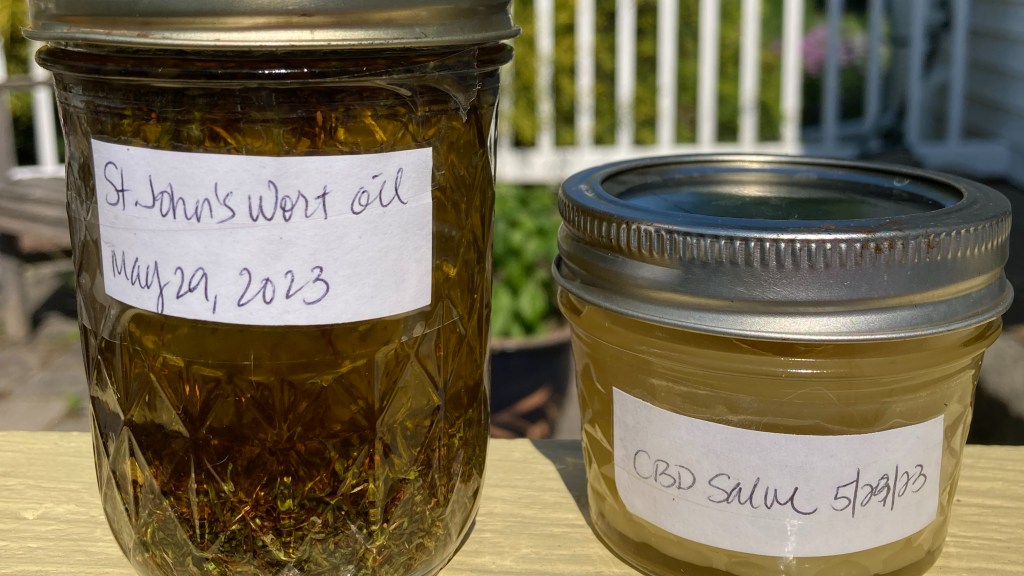 freshly jarred st johns wort oil and cbd salve
