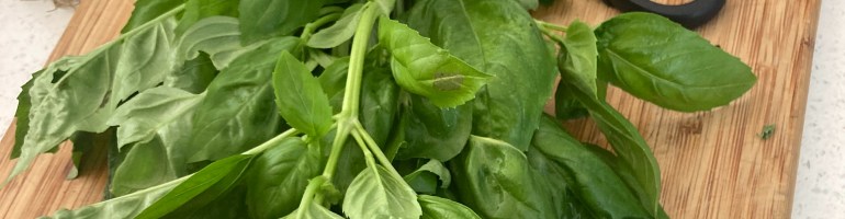 basil on a cutting board with garlic and scissors