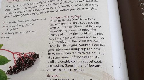 Part of a recipe for Elderberry syrup in a book