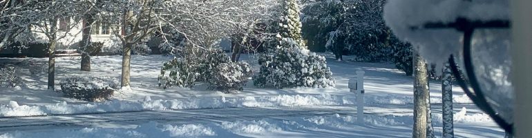 snow covers a front yard
