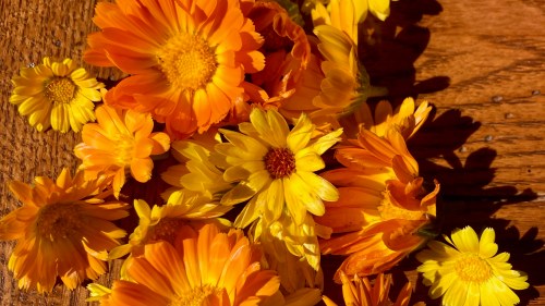 yellow and orange flowers on a wooden table