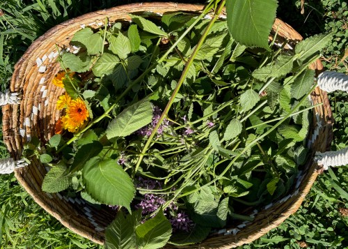 a mix of herbs an flowers in a basket